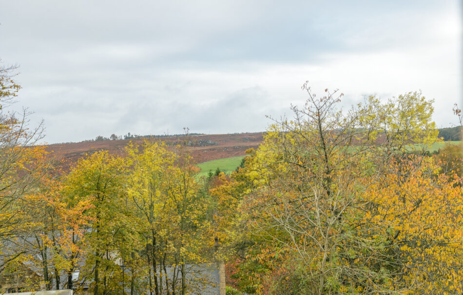 The Terrace, Eglingham by Indica Homes Propology