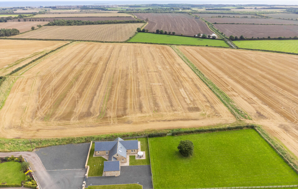 Phoebe's Plaice, Cavil Head Farm, Acklington Propology